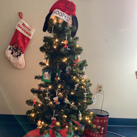 Meet your Posher, Whitney - Picture 1 of 1